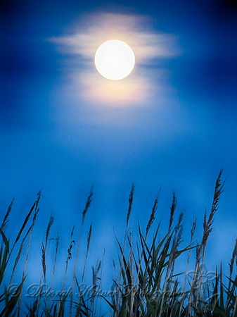 Full Moon at the Beach