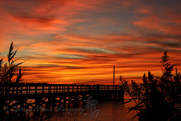 November Sunrise