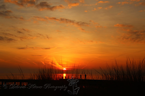 Sunset Silhouettes
