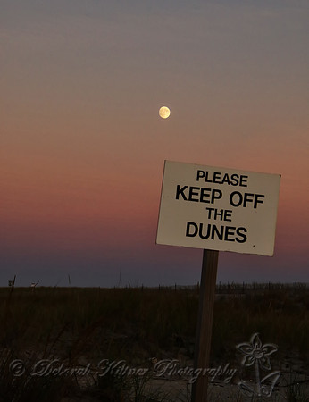 Keep Off The Dunes