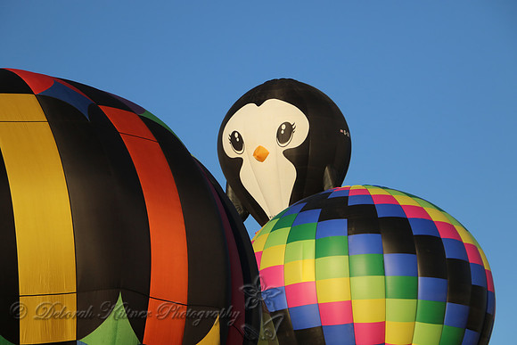 Penguins Can Fly