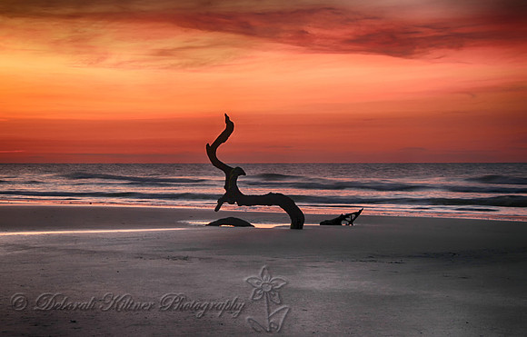 Serpent Sunrise
