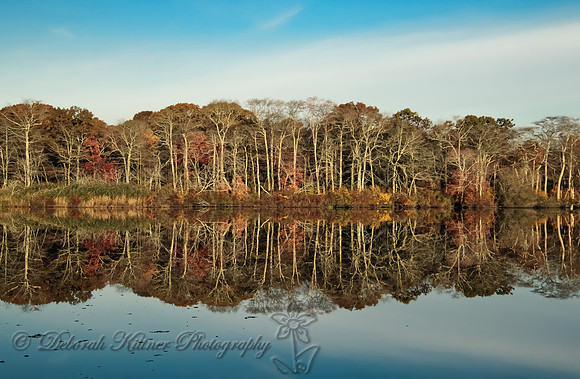 Morning Reflections