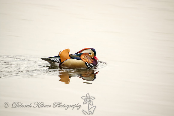 Mandarin